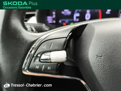 Photo 18 Skoda Kamiq  1.0 TSI Evo 110 ch DSG7 Business