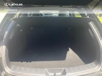 Photo 9 Lexus UX  300e Pack