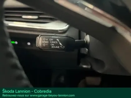 Photo 29 Skoda Enyaq  iV 180ch Version  60