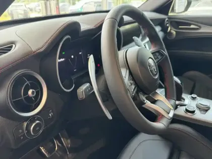 Photo 48 Alfa Romeo Stelvio  2.2 210 ch Q4 AT8