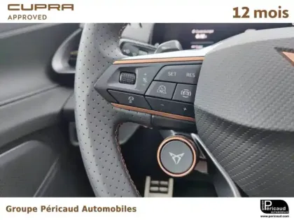 Photo 34 Cupra Terramar  1.5 eHybrid 272 ch DSG6