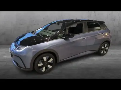 Photo Byd Dolphin Design