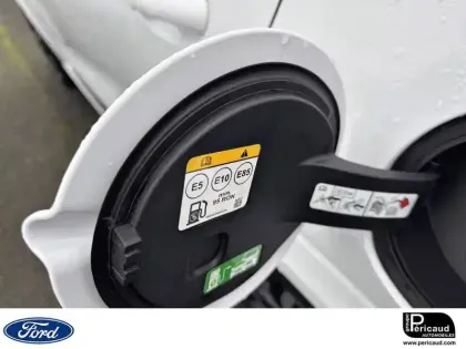 Photo 29 Ford Puma  1.0 Flexifuel 125 ch S&S BVM6