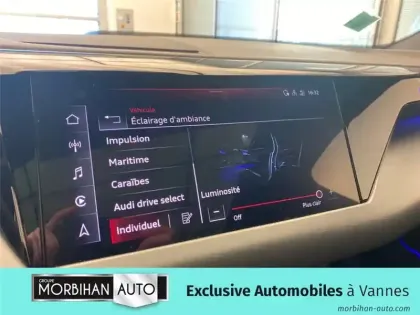 Photo 235 Audi E-tron 476 CH QUATTRO