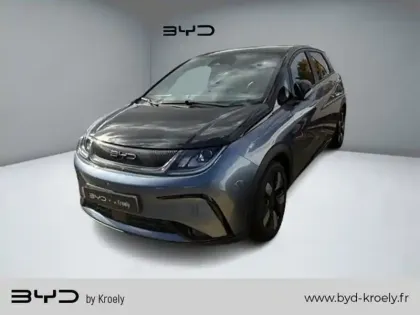 Photo Byd Dolphin Design