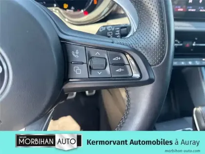 Photo 72 Alfa Romeo Tonale Gén. I Ph1 Edizione Speciale 5