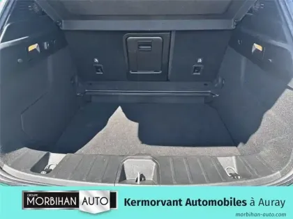 Photo 111 Alfa Romeo Tonale Gén. I Ph1 Edizione Speciale 5