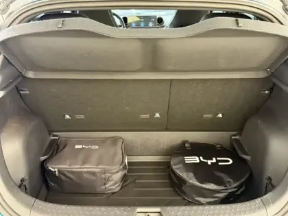 Photo 9 BYD Dolphin Gén. I Ph1 Design 5