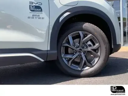 Photo 96 BYD Atto 2  45.1 kWh 177 ch