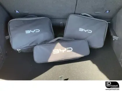 Photo 101 BYD Atto 2  45.1 kWh 177 ch