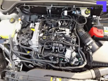 Photo 61 Ford Focus  SW 1.0 EcoBoost 155 S&S mHEV Powershift