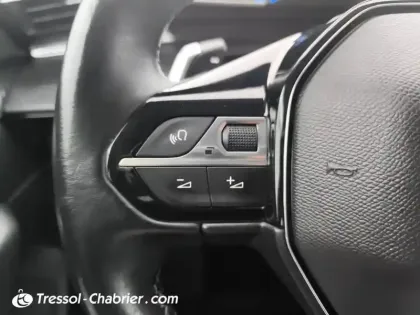 Photo 18 Peugeot 508 Gén. II Ph1 NG Active Business 4