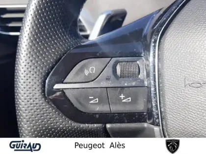 Photo 16 Peugeot 3008  BlueHDi 130ch S&S EAT8