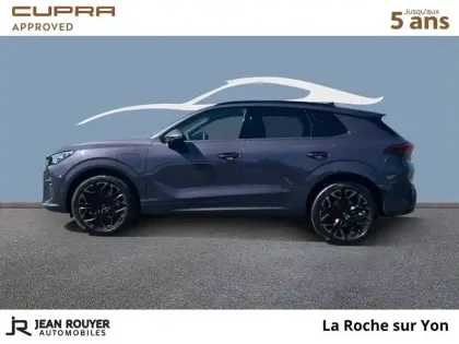 Photo 26 Cupra Terramar  1.5 eHybrid 272 ch DSG6