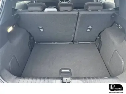 Photo 14 Ford Puma  1.0 Flexifuel 125 ch mHEV S&S BVM6