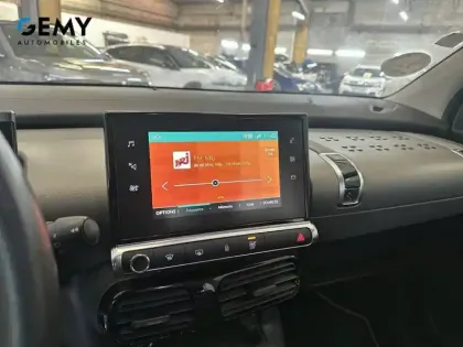 Photo 15 Citroën C4 Cactus  PureTech 110 S&S EAT6