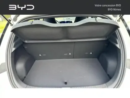 Photo 6 BYD Dolphin Gén. I Ph1 Design 5