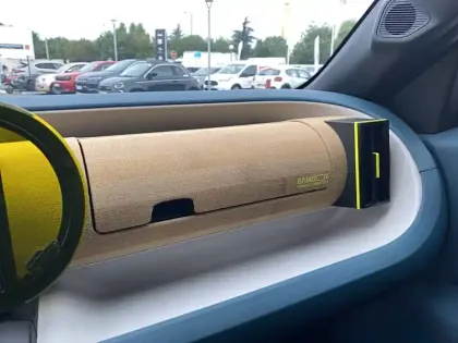 Photo 19 Fiat Grande Panda  e 83ch