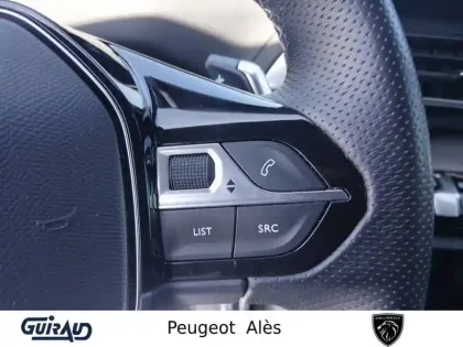 Photo 107 Peugeot 3008  Hybrid 225 e-EAT8
