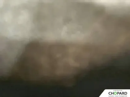 Photo 42 Peugeot 2008  100 S&S BVM6