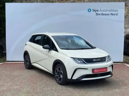 Photo 44 BYD Dolphin  60,4 kWh 204 ch