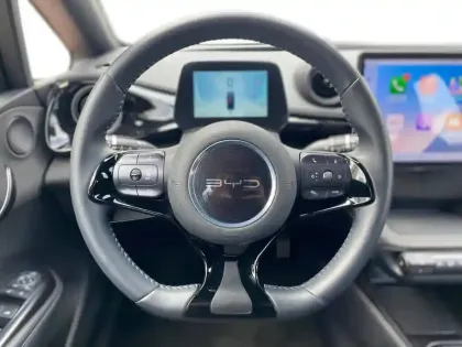 Photo 49 BYD Dolphin  60,4 kWh 204 ch