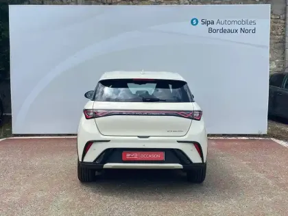 Photo 35 BYD Dolphin  60,4 kWh 204 ch