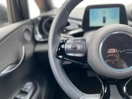 Photo 50 BYD Dolphin  60,4 kWh 204 ch