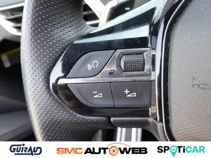 Photo 70 Peugeot 3008  Hybrid 225 e-EAT8