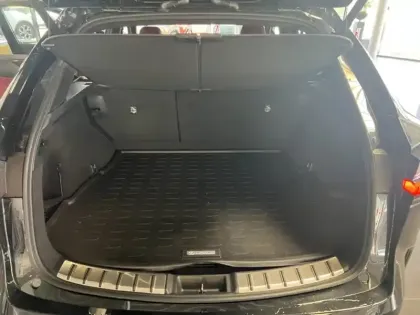 Photo 15 Lexus Nx 450H+ 4WD Executive PHEV