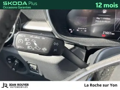 Photo 55 Skoda Fabia  1.0 TSI 95 ch EVO 2 BVM5