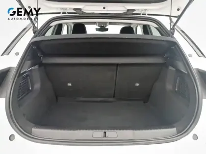 Photo 25 DS DS 3 DS3 Crossback E-Tense