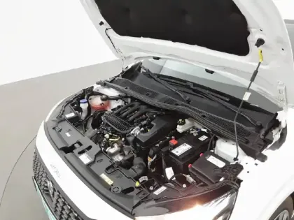 Photo 14 Peugeot 208  PureTech 75 S&S BVM5