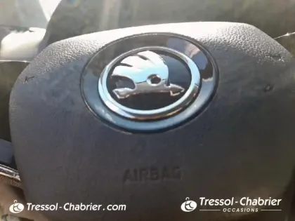 Photo 24 Skoda Karoq  2.0 TDI 116 ch SCR DSG7 Business