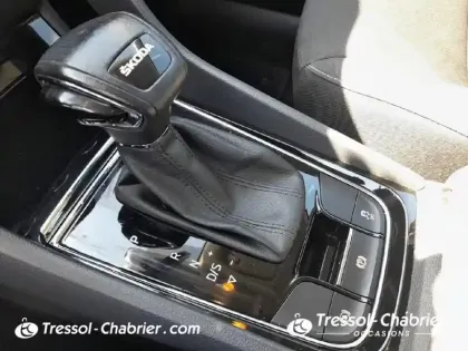 Photo 23 Skoda Karoq  2.0 TDI 116 ch SCR DSG7 Business