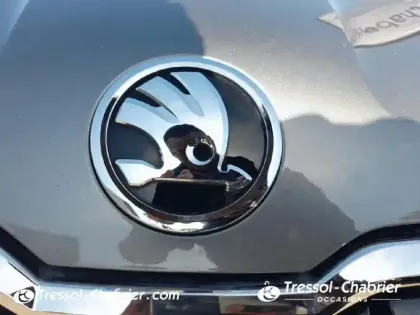 Photo 15 Skoda Karoq  2.0 TDI 116 ch SCR DSG7 Business