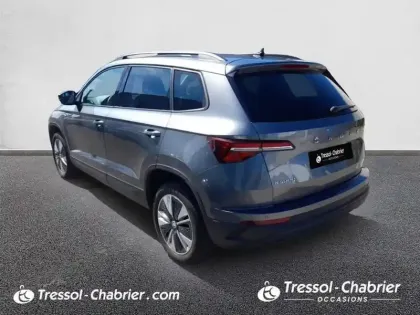 Photo 29 Skoda Karoq  2.0 TDI 116 ch SCR DSG7 Business