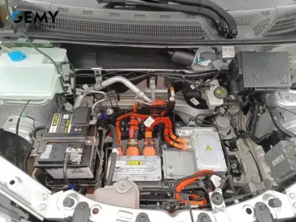 Photo 14 Dacia Spring  Achat Intégral