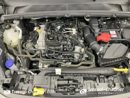 Photo 6 Ford Puma  1.0 Flexifuel 125 ch mHEV S&S BVM6 ST-Line