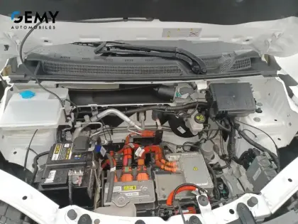 Photo 37 Dacia Spring  Achat Intégral