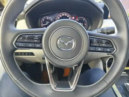 Photo 13 Mazda Cx-60  3.3L e-SKYACTIV D 200 ch BVA8