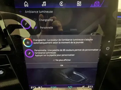 Photo 98 Renault Austral  E-Tech full hybrid 200 GSR2