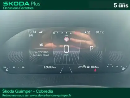 Photo 13 Skoda Fabia  1.0 TSI Evo2 116ch Selection DSG7