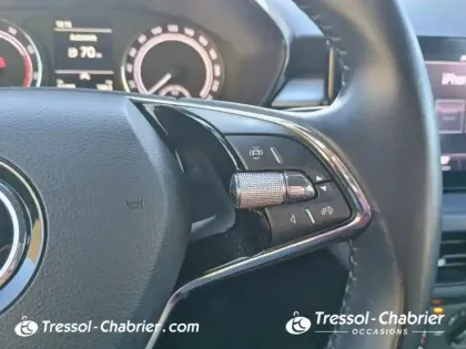 Photo 18 Skoda Fabia  1.0 TSI 95 ch BVM5 Ambition