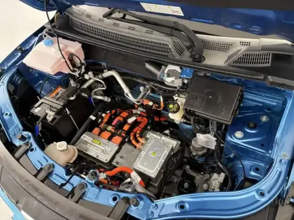 Photo 14 Dacia Spring  Achat Intégral