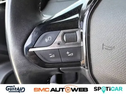 Photo 61 Peugeot 2008  BlueHDi 110 S&S BVM6