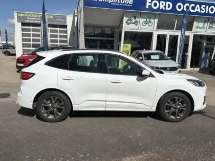 Photo 18 Ford Kuga Gén. III Ph1 ST-Line 5