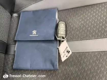 Photo 15 Peugeot 2008  Electrique 136 ch Active