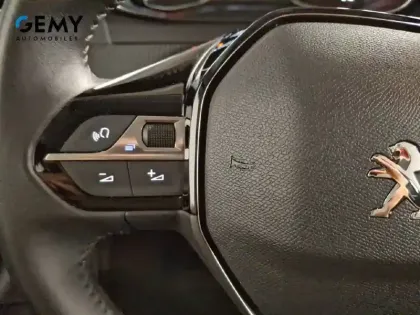 Photo 14 Peugeot 208  BlueHDi 100 S&S BVM6