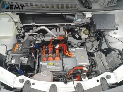 Photo 14 Dacia Spring  Achat Intégral